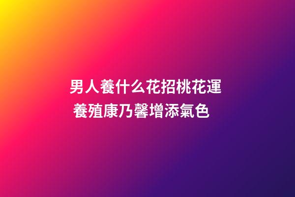 男人養什么花招桃花運  養殖康乃馨增添氣色
